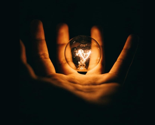 hand holding a bulb